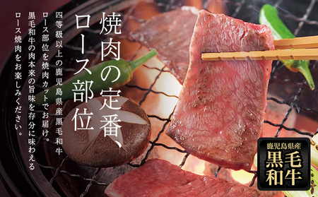 黒毛和牛 焼肉用ロース 400g 4等級以上 牛肉 焼肉 バーベキュー BBQ 冷凍 スターゼン