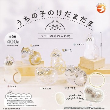 🌟臺灣倉出貨🌙免運+發票 日本新款BrightLink我家的毛孩子透明貓毛收納掛飾扭蛋創意裝飾 ZEPY