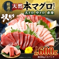 厳選 天然 本マグロ セット６００ｇ以上 本まぐろ 100% 冷凍 刺身 海鮮 丼 さく 柵 ブロック