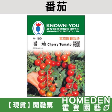 【隔日到貨】番茄 V-190 小果 蔬菜種子 農友牌 小包裝種子 約20粒/包【HOMEDEN霍登園藝】