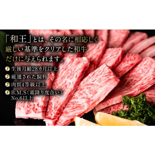 ふるさと納税 熊本県 八代市 極和王シリーズ くまもと黒毛和牛 焼肉ロース 500g 熊本県産 牛肉