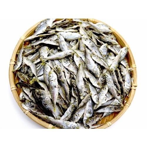 鯵子の煮干100ｇ