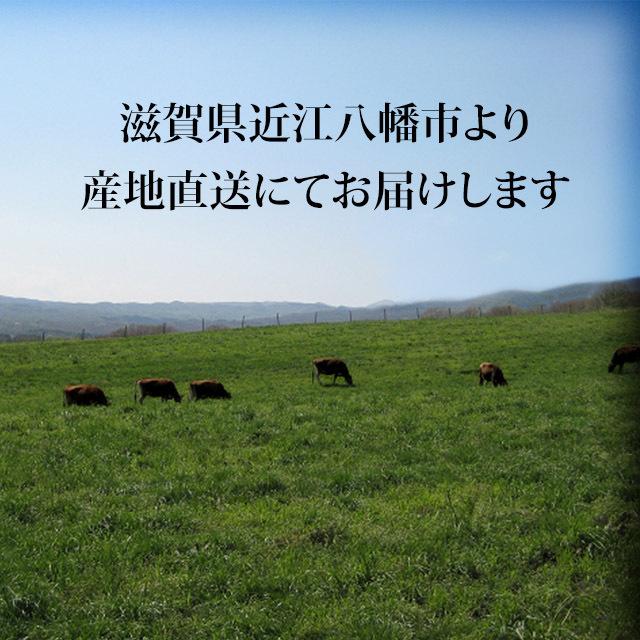 近江牛 ステーキ モモ 100g×2枚 200g 2人前 赤身 ギフト 牛肉 A5 A4 肉 和牛 国産 モモ肉 希少部位 お取り寄せ 引越し祝い 誕生日 プレゼント