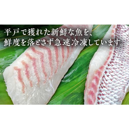 ふるさと納税 長崎県 平戸市 平戸市 鮮魚 3人前 詰め合わせ 計約1.35kg（450g／回） 百旬館 [KAK035]