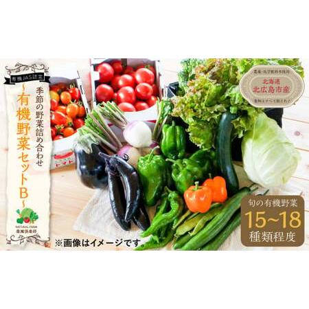 ふるさと納税 季節の野菜 詰め合わせ 15種類〜18種類程度 〜有機野菜セットB〜 北海道北広島市 北海道北広島市