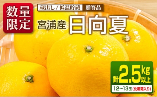 ≪数量限定≫宮浦産蔵出し日向夏(計2.5kg以上)　フルーツ　果物　柑橘　みかん　国産 BA53-23