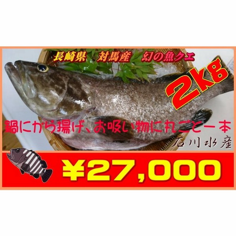 長崎県 対馬産 幻の魚クエ 一匹売り2kg 冷蔵 通販 Lineポイント最大get Lineショッピング