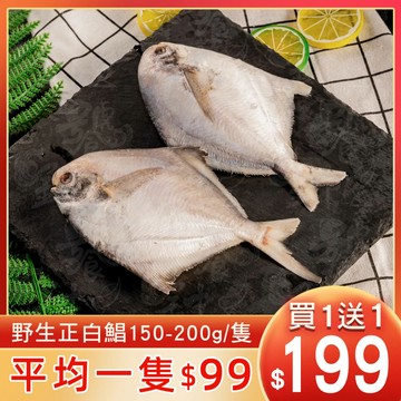 【饕針】【買一送一】野生正白鯧 150-200g/隻 富含高蛋白、脂肪含量低 肉質細緻，刺少好入口 清蒸、香煎等料理都很