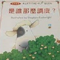 是誰那麼調皮[二手書_良好]