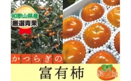 柿 富有柿和歌山県産 約2kg