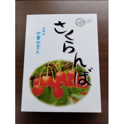 ふるさと納税 山形県 令和6年産先行受付　山形県産さくらんぼ秀品　約800g　200g×4P