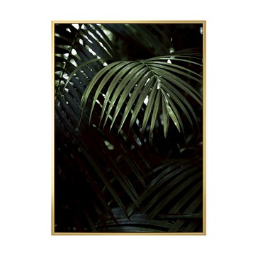掛畫 熱帶叢林  40 x 30cm  金色