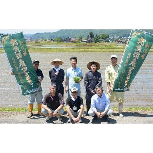 ふるさと納税 新潟県 長岡市 5K10-3北魚沼産コシヒカリ（長岡川口地域）10kg