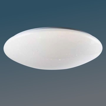 滿天星造型80W/64W 遙控吸頂燈 36-61736、61737