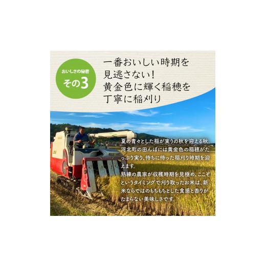 ふるさと納税 山形県 河北町 2024年6月下旬発送 特別栽培米 つや姫10kg（5kg×2袋）山形県産 