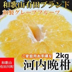 ふるさと納税 河内晩柑 2kg 和製グレープフルーツ ブラン 和歌山 ブランド 有田みかん ご家庭用 和歌山県有田川町