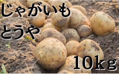 じゃがいも10kg