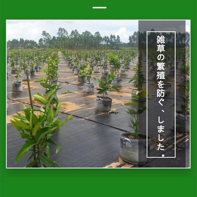 防草シート 1m幅×長さ100m 農用シート 除草 雑草 芝生 草 抗菌剤入 耐用年数 約6-7年 砂利 芝 人工芝 高密度強力防草シート・黒DIY 雑草シート 雑草駆除