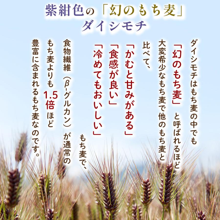 もち麦 国産 ダイシモチ 佐賀県産100% 紫紺色のダイシもち麦 1600g リフ工房 もちむぎ 国産 もち 麦 麦飯 麦ごはん 麦ご飯 チャック袋付き スタンドパック