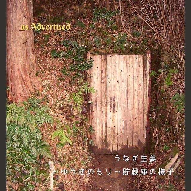 ご飯のお供 マツコ 黄金しょうが 瓶詰 ギフト 食品 お取り寄せ うなぎ生姜 佃煮 ごはんのおとも 父の日 母の日 退職 プレゼント お返し お歳暮 中元 見舞 2022