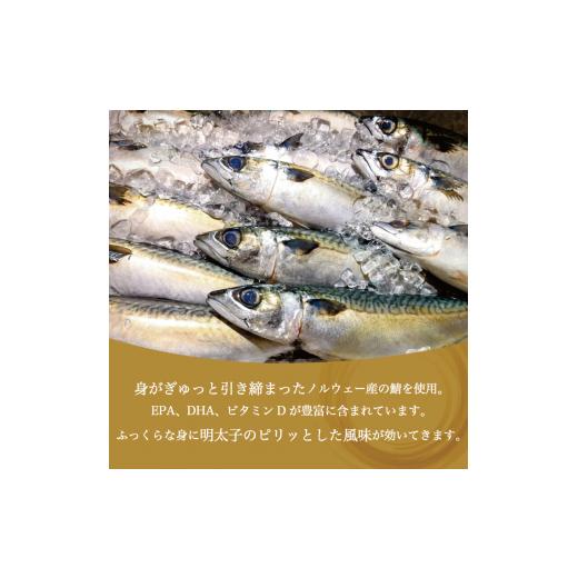 ふるさと納税 福岡県 添田町 さば明太 6枚〜秘伝の辛子明太子液たれ仕込み〜 [a0212] 株式会社マル五 ※配送不可：離島添田町 ふるさと納税