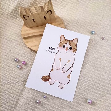 ME183-105_我紙在乎你百喵萌明信片_postcard