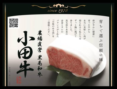 鹿児島県産黒毛和牛「小田牛」 サーロインステーキ 200g（1枚） ステーキ 焼肉 バーベキュー BBQ 黒毛和牛 小田畜産 冷凍