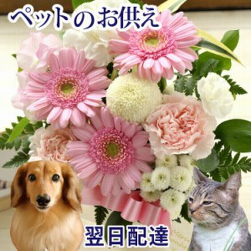 お供え花 ペット フラワーギフト お供え アレンジ 仏花 お供え お悔み ペット専用 明日着 メッセージカード 通販 Lineポイント最大1 0 Get Lineショッピング