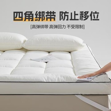 跨境防螨大豆纖維羽絲絨軟床墊四季通用學生宿舍家用超軟床墊批發