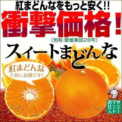 スイートまどんな（訳あり）5kg 愛媛県産 家庭用 ゼリー食感 紅まどんなと同品種 フルーツ 果物 くだもの わけあり マドンナ みかん 柑橘類 ミカン