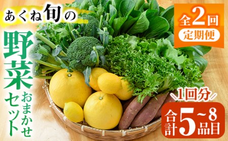 akune-4-39 ＜定期便・全2回(6月・11月)＞あくね旬の野菜おまかせセット(5～8品目) 小松菜、レタス、青梗菜の3品目とその他野菜2品目以上を詰め合わせて全2回お届け！ ふるさと納税 阿久根市 特産品 野菜 お楽しみ さつまいも 芋4-39