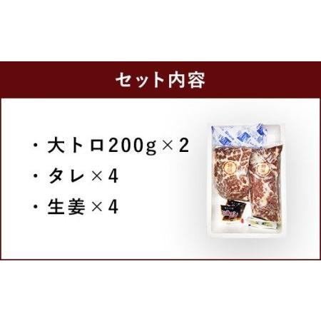 ふるさと納税 馬刺しセット 大トロ 400g 熊本県宇城市