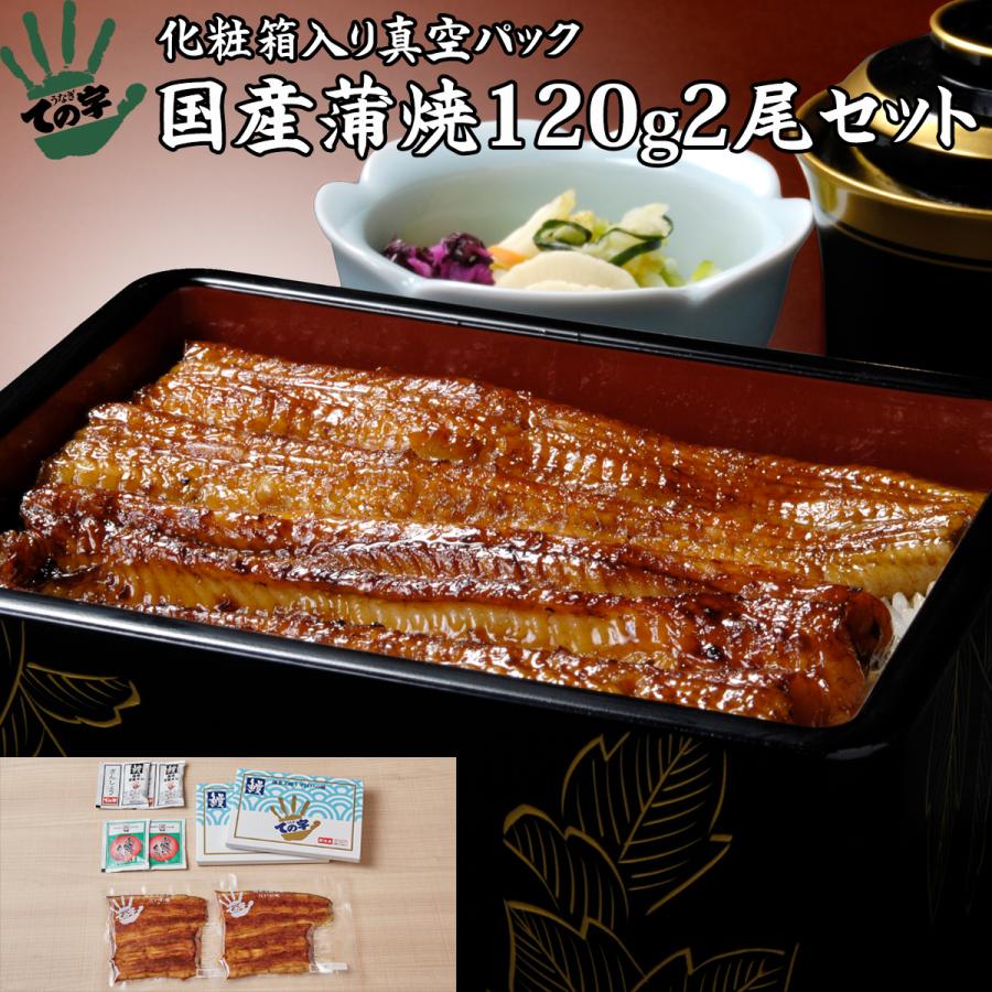 お歳暮 うなぎ 鰻 国産 プレゼント ギフト 蒲焼 120g×2セット ての字 化粧箱入り