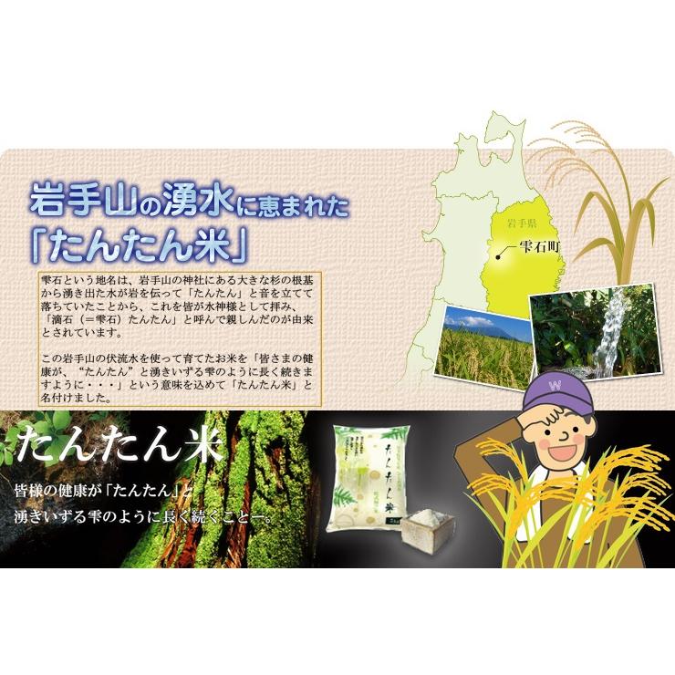 米 玄米 岩手県雫石産ひとめぼれ 20Kｇ 袋 送料無料