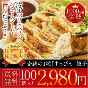 ポイント10％ すっぴん餃子100個  超人気品 冷凍食品 ぎょうざ  送料無料 グルメ 取り寄せ お年賀 大阪