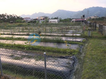 美濃農地近區公所有水有電之開心農場¥		 			｜高雄市美濃區美中段