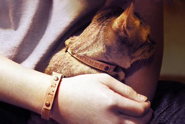 (主人古銀手環+貓咪項圈組) (貓咪項圈1+1組) 【二選一2入優惠】