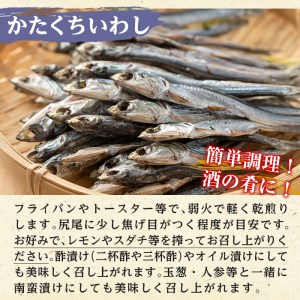 akune-2-211 鹿児島県阿久根市産生干し「かたくちいわし」(計5袋・1袋40g)国産 魚介 干物 イワシ 鰯 がらんつ干物 2-211