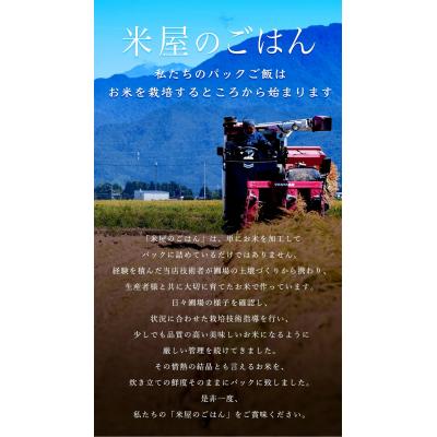 ふるさと納税 阿賀野市 パックご飯 新潟県阿賀野市産みずほの輝き 150g×24食×6回