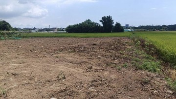 正龍安街12米路~甲建+農地~中壢擴大一期範圍內｜桃園市蘆竹區新福段