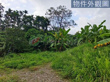 台中後花園大坑正東山路旁風景區聚落美地.多塊可選｜台中市北屯區大昌段