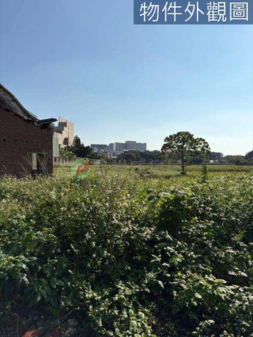 近龍壽街方正美建地　鬧中取靜、建築線申請、審核中｜桃園市桃園區龍壽段