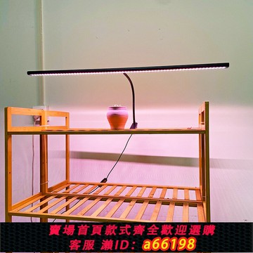 【台灣公司 可開發票】喜浪全光譜植物生長補光多肉燈家用上色防徒長花架夾子款定時綠植