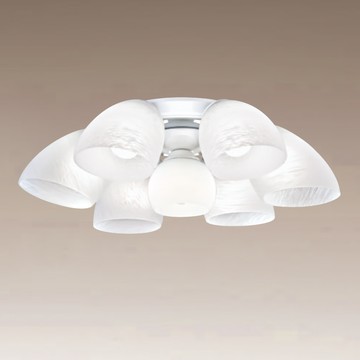 玻璃造型半吸頂燈 F37-21-92351