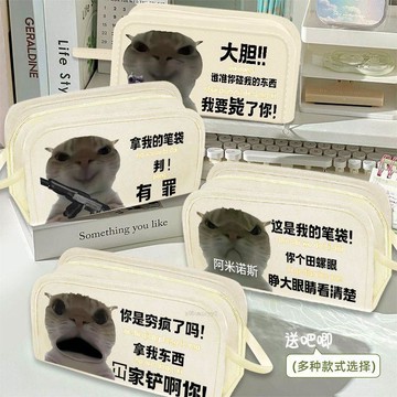 🚛臺灣出貨💨歪嘴小貓抽象搞笑沙雕筆袋大容量文具盒生日禮物送朋友學生鉛筆袋