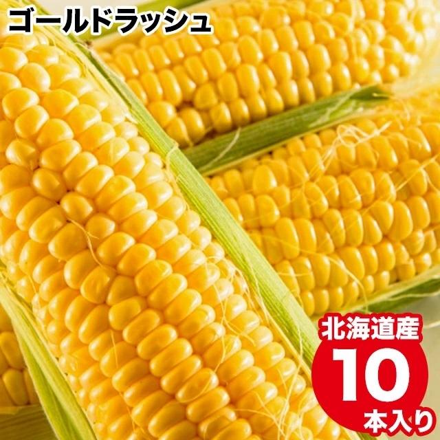 とうもろこし 送料無料 北海道産 ゴールドラッシュ(10本入り)  トウモロコシ 新鮮直送 旬 黄色 イエローコーン 甘い