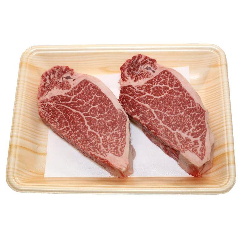 壱岐牛 ステーキ用 ヒレ 500g 高級牛肉