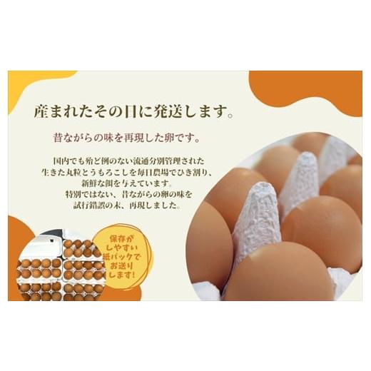 ふるさと納税 兵庫県 丹波市 丹波奥郷の卵　やまぶき　４５個 ５個破卵補償　(約3kg）