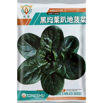 【獨家黑葉品種】原裝趴地菠菜種子｜葉厚香甜 蟲害少｜台灣氣候專用｜陽台盆栽好種 秋冬必播｜新手免煩惱 附簡易教程｜現貨