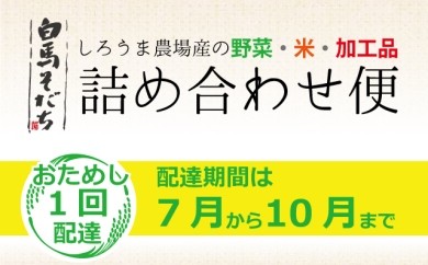 白馬そだち（旬の野菜・米・加工品）詰合せ便（1回）7月から10月期間限定お届け